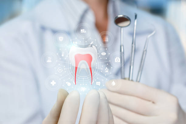 Trusted Lake Hamilton, FL  Holistic Dental Services Experts